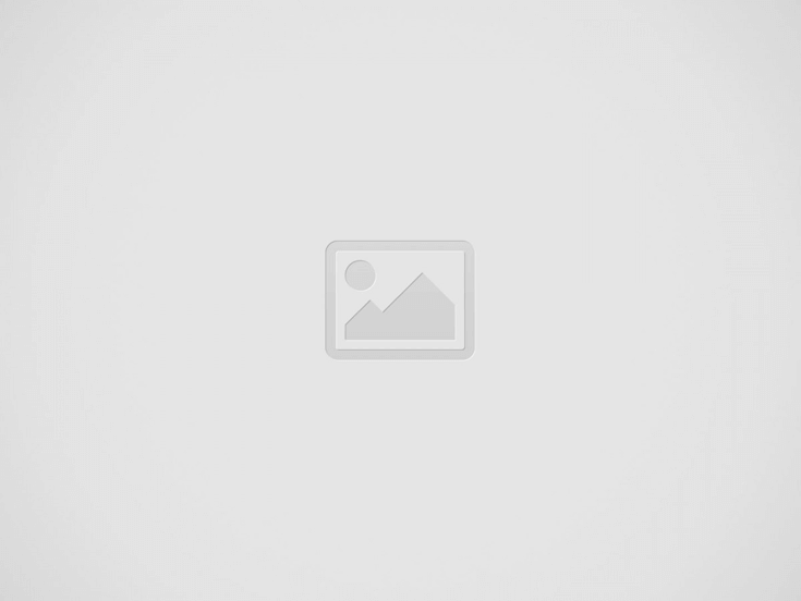 get a perfect logo design