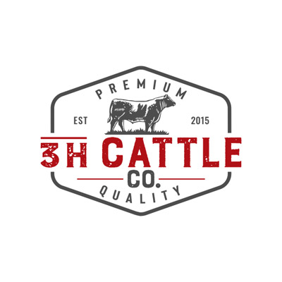 2D Versus 3D Logo Design 5