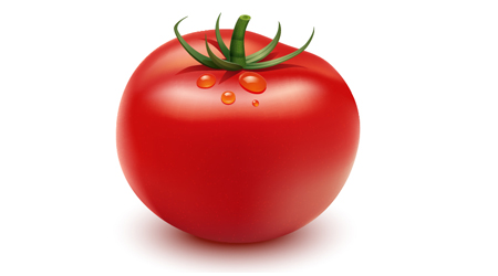 3D Tomato Illustration
