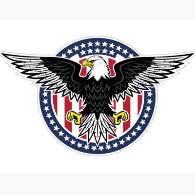 Bald Eagle Symbol