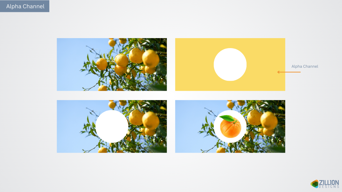 Alpha Channel Alpha Channel