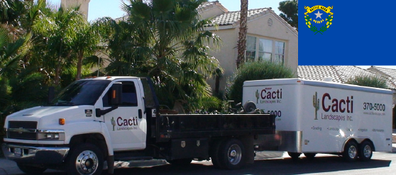 Cacti landscapes Inc.- Nevada-01