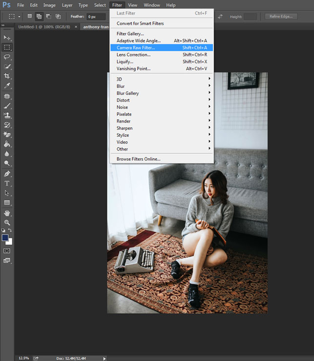 Camera Raw filter Camera Raw filter