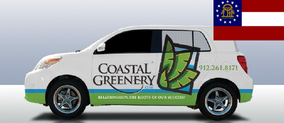 Coastal Greenery - Georgia-01