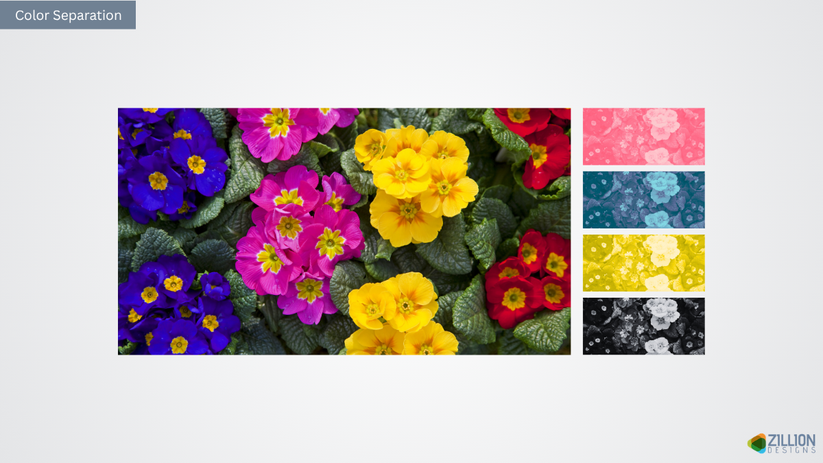 Color separation Color separation