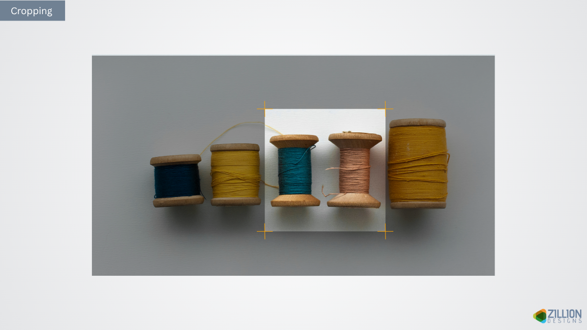 Cropping Cropping