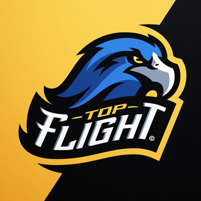 Eagle Logo 13