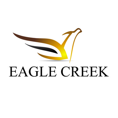 Eagle Logo 16