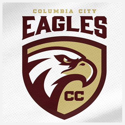 Eagle Logo 5