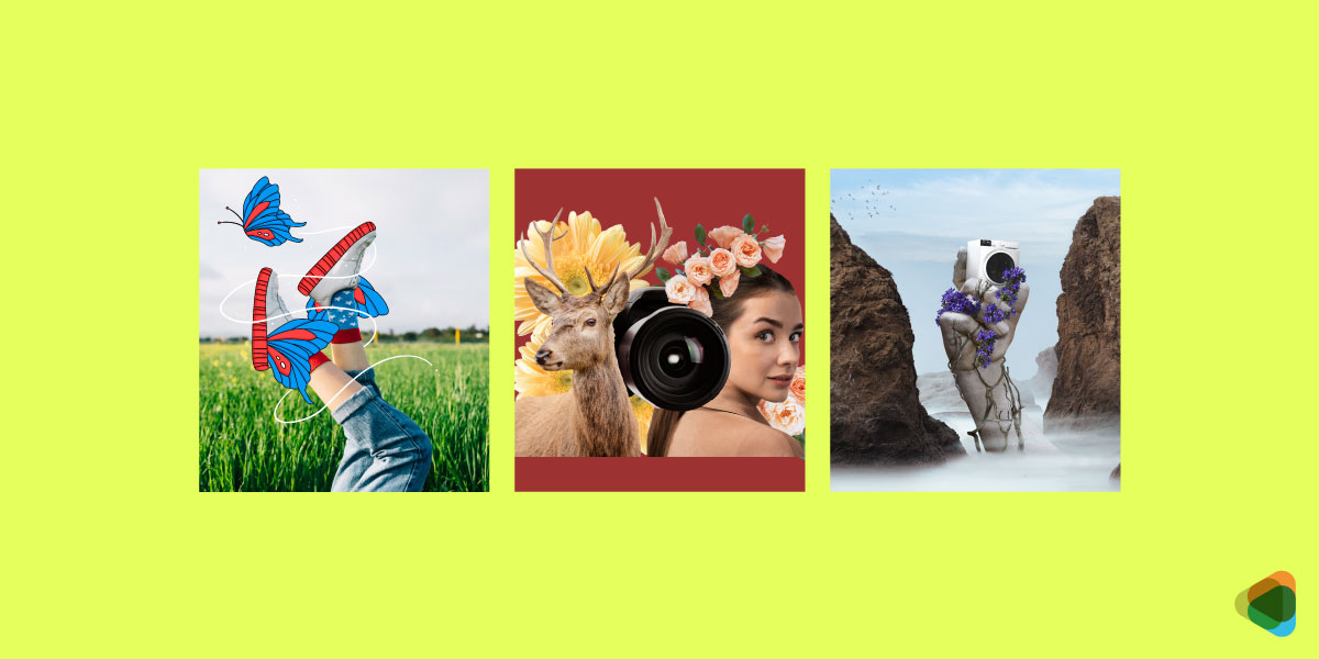 Image Editing & Manipulation Image Editing & Manipulation