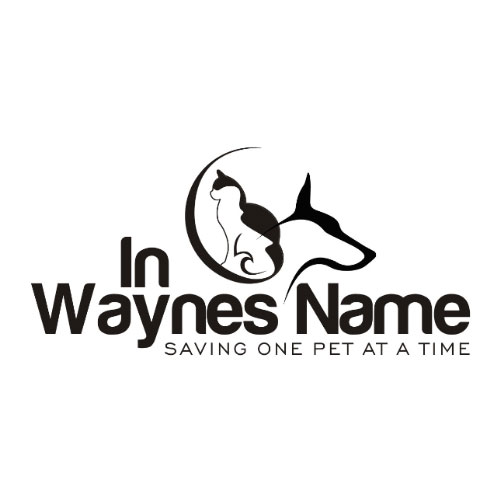 In Waynes Name Logo
