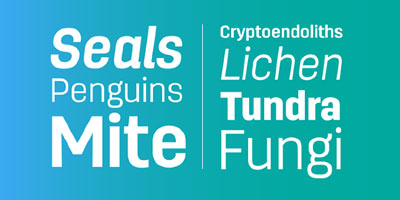 Luciano Vergara Typography Luciano Vergara Typography