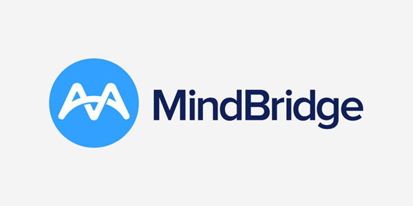 Mind Bridge Logo