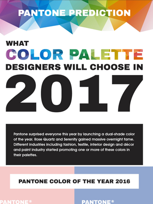 Pantone Color Palette Designers