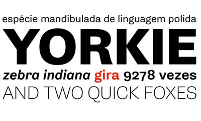 Rui Abreu Typography Rui Abreu Typography