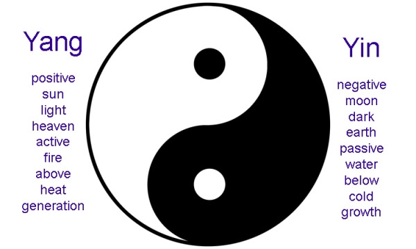Yin Yang circle