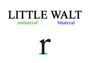 bilateral-serifs