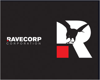 bird logo-4 bird logos