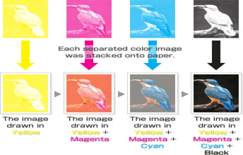 Color separation - ZD Blog - Zillion Designs