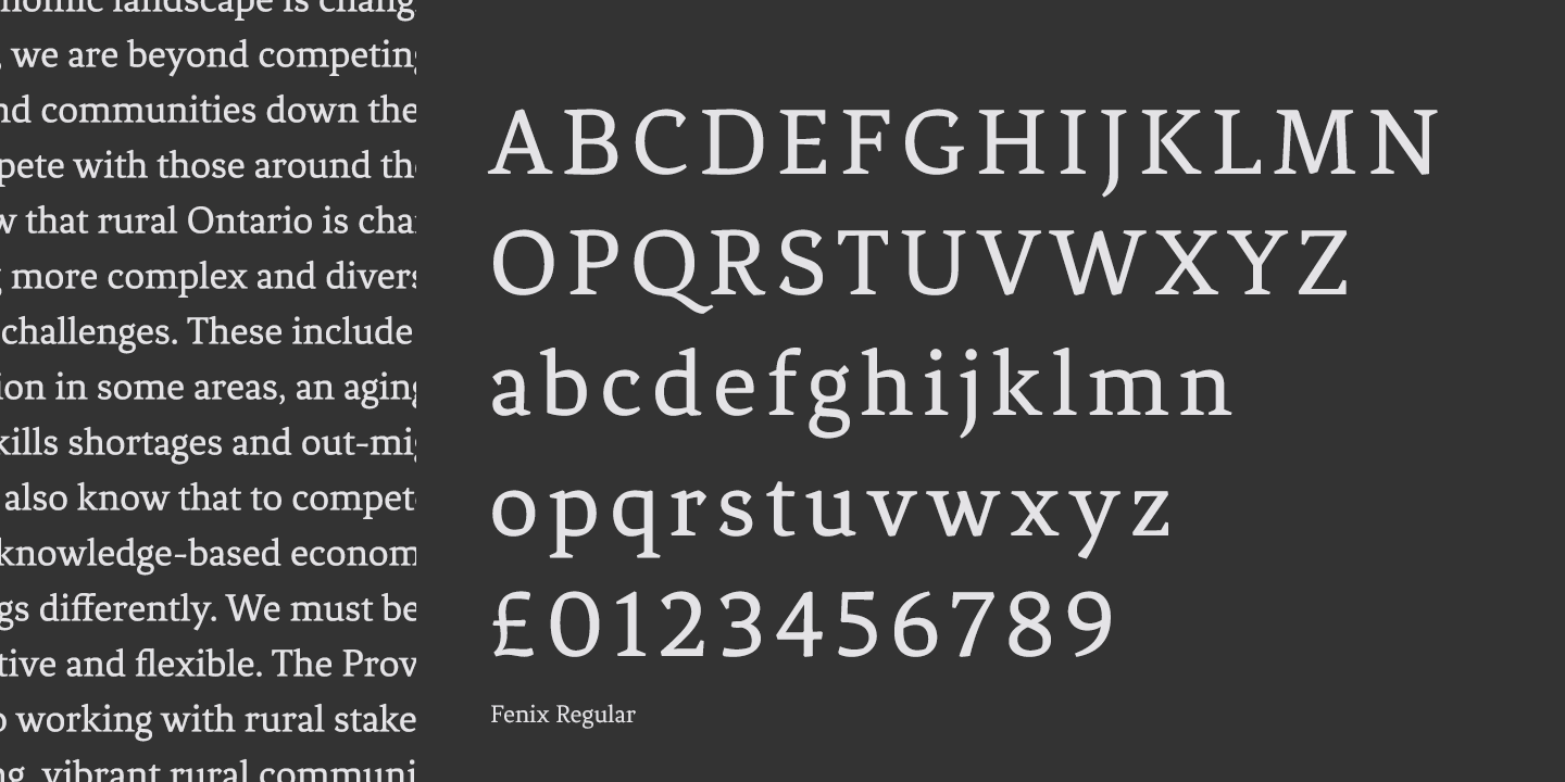 fenix serif font