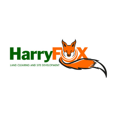 fox logo design 3