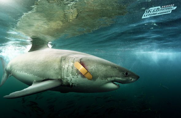 creative ad, healthcare ad