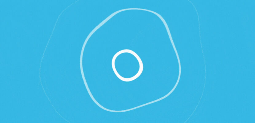 Motion-Design